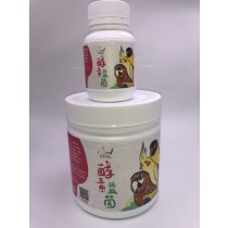 【iBird愛鸚鵡】酵素&益菌(小瓶裝)